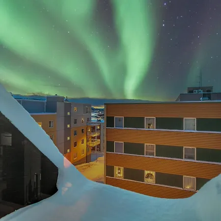 Lights Of Narvik